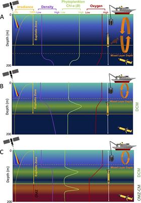 Monitoring low-oxygen-adapted subsurface phytoplankton distribution in a changing ocean